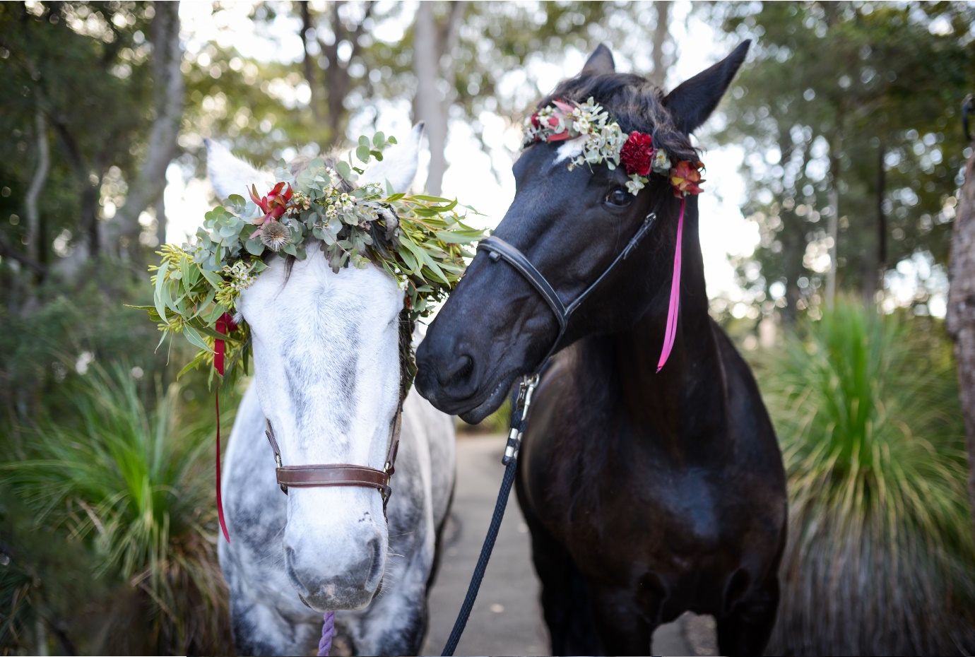 Sunshine Coast Bridal Showcase 7